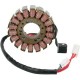 STATOR / ALTERNADOR ELECTROSPORT TRIUMPH DAYTONA / SPEED TRIPLE 675 -