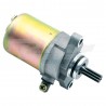 Motor de Arranque Scarabeo/Aerox/BWs 100