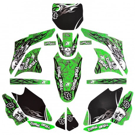 Kit Adhesivos Blackbird Tribal Skull Kawasaki 2416B