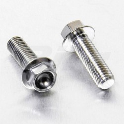 Kit tornillos pinza de freno trasera Acero Inox Natural Pro-Bolt SSRBMON160