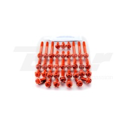 Kit tornillería aluminio Race Spec motor Pro-Bolt ESU210HXRO Naranja