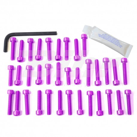 Kit tornillería aluminio motor Pro-Bolt EYA055P Violeta