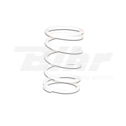 Muelle contraste embrague Malossi reforzado Blanco Yamaha AEROX/JOG 29 7047.W0